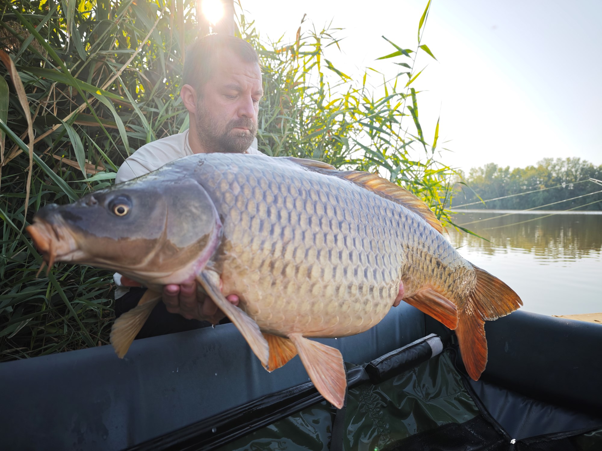 Tancabesti 15 - 20 sept. - 1000105245.jpg